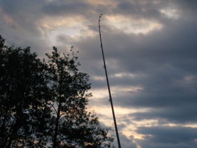 Image(009)
